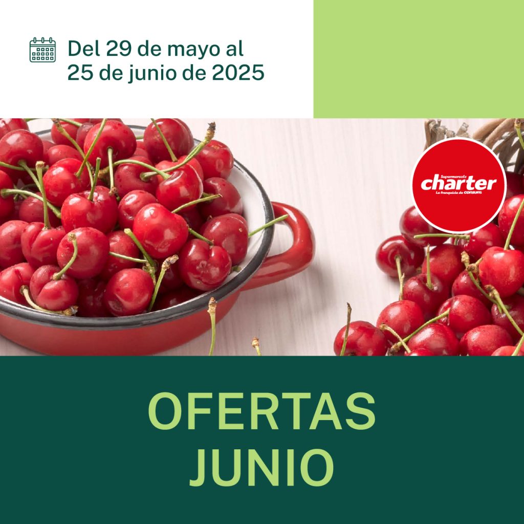 POST PROMOCHARTER JUN COPOBLA WEB